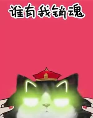 我们喵星人就是辣么拽表情包