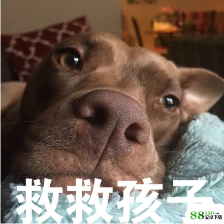 【救救孩子吧表情包大全】救救孩子高清无水印图片分享