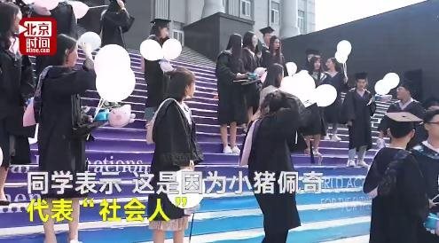 小猪佩奇毕业照什么梗_小猪佩奇毕业照图片分享
