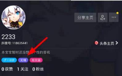 iefans网