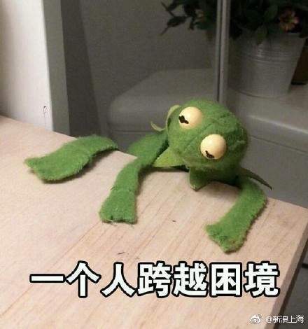 iefans网