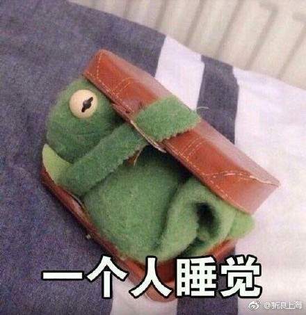 iefans网