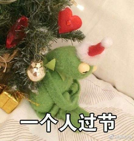 iefans网