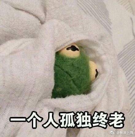 iefans网