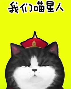 我们喵星人就是辣么拽