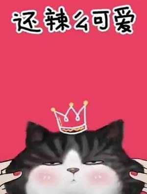 我们喵星人就是辣么拽