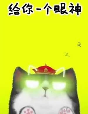 我们喵星人就是辣么拽