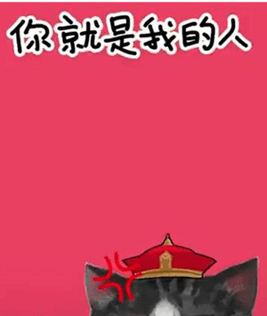 我们喵星人就是辣么拽