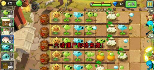 植物大战僵尸2功夫世界第20关怎么过