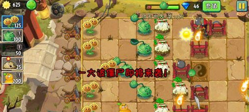 植物大战僵尸2功夫世界第19关怎么过