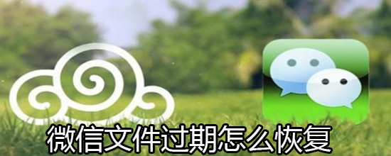 微信文件过期怎么恢复