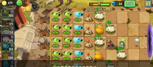 植物大战僵尸2功夫世界第23关怎么过