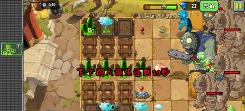 植物大战僵尸2功夫世界第24关怎么过