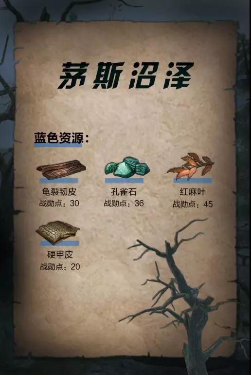 iefans网