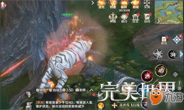 完美世界手游兽兽在副本中的主要职责是什么