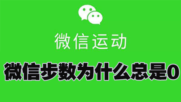 微信步数为什么总是0