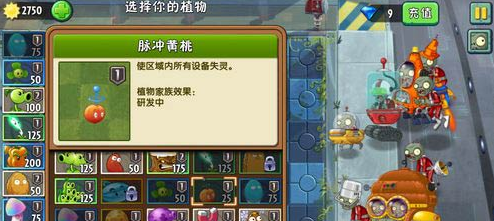 植物大战僵尸2未来世界第12关怎么过