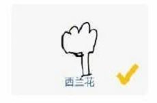 谷歌猜画小歌狗西兰花火柴瑜伽浣熊怎么画?