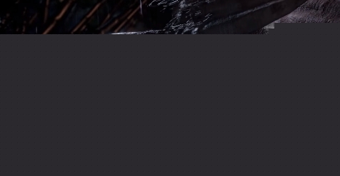 《只狼》特色玩法介绍