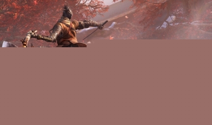 《只狼》特色玩法介绍