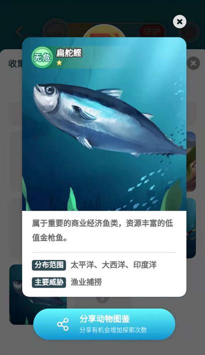 淘宝野生小伙伴全部动物图鉴介绍分享