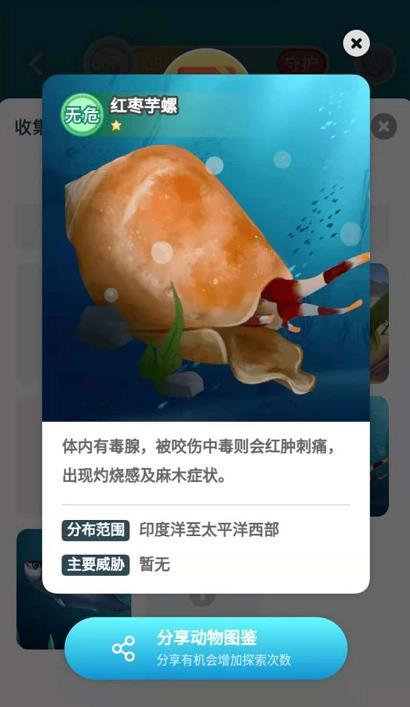 淘宝野生小伙伴全部动物图鉴介绍分享