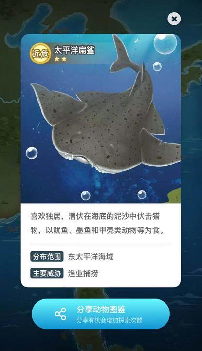 淘宝野生小伙伴全部动物图鉴介绍分享