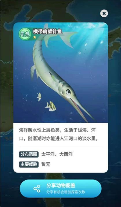 淘宝野生小伙伴全部动物图鉴介绍分享