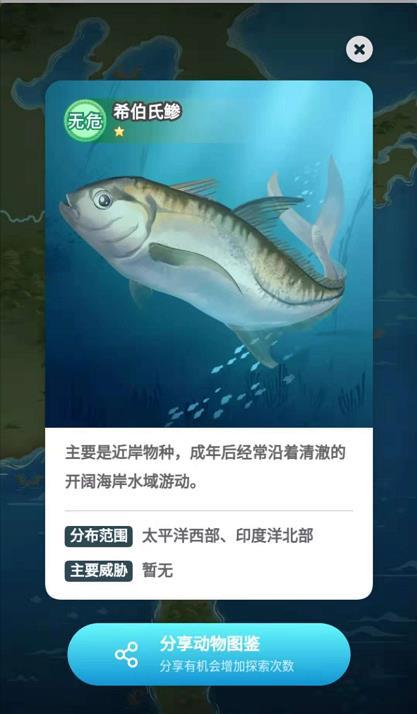 淘宝野生小伙伴全部动物图鉴介绍分享