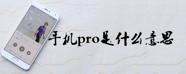 手机pro是什么意思