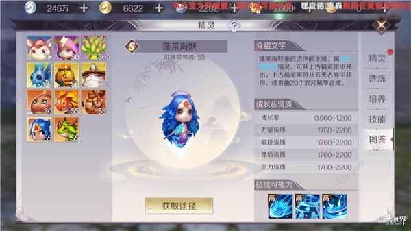 完美世界手游羽芒攻略 羽芒精灵、技能加点推荐[多图]图片3