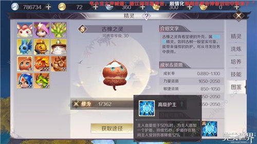 完美世界辅助宠怎么加点