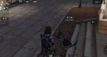 明日之后宠物狗怎么喂