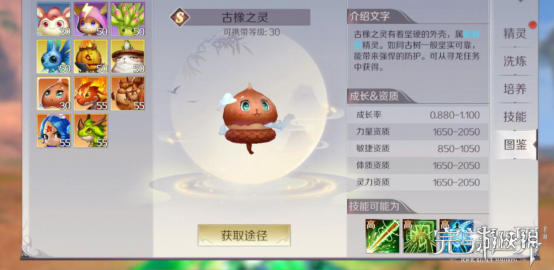 iefans网