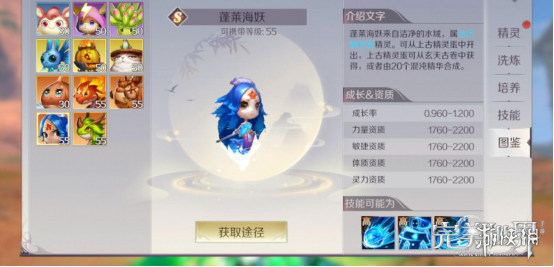 iefans网