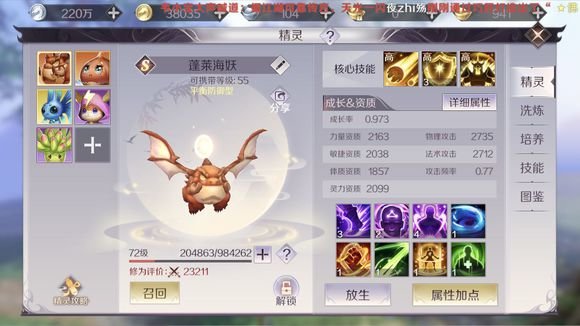 完美世界手游输出宠好还是辅助宠好 宠物选择建议