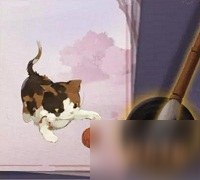 《阴阳师》樱花前线活动怎么玩 樱花前线活动玩法指引