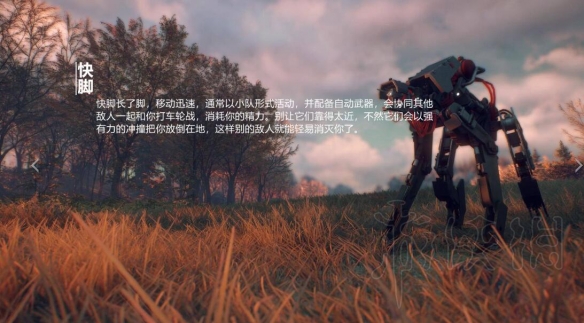 iefans网