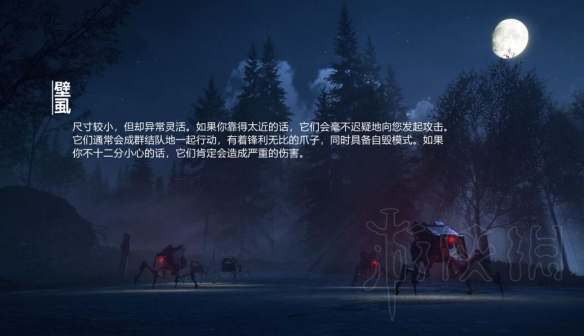 iefans网