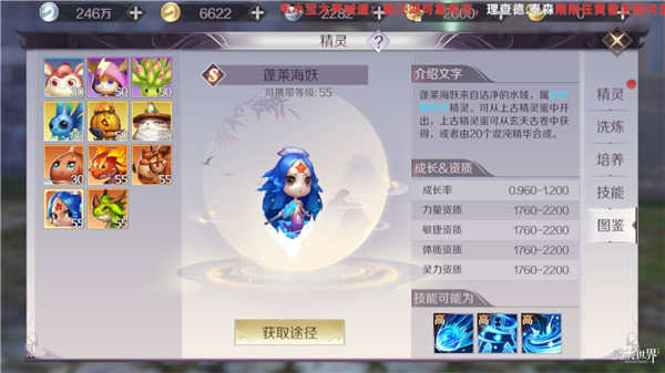 完美世界手游羽芒用蓬莱海妖怎么样 