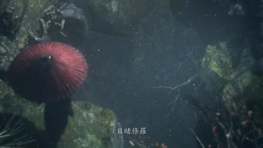 只狼三年前指路的盗贼杀了有什么影响 指路盗贼身份介绍