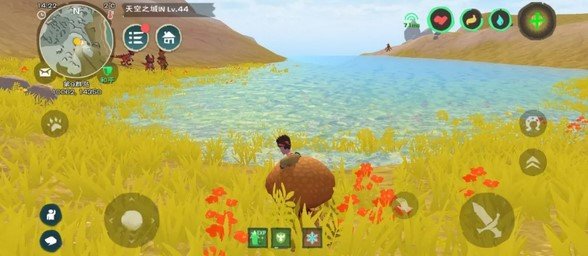 创造与魔法松露详细坐标点分享【最新版】