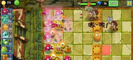 植物大战僵尸2失落之城第四天怎么过