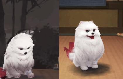 阴阳师守护的契约活动赤雪犬怎么获得？