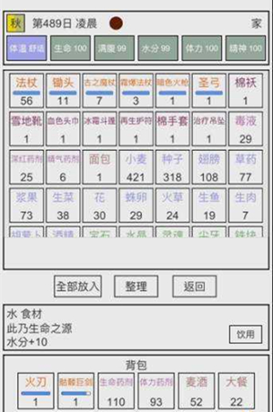 魔塔冒险者完美通关小技巧