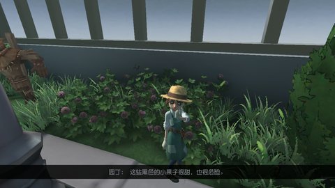 第五人格园丁小姐姐第二章细节图详解