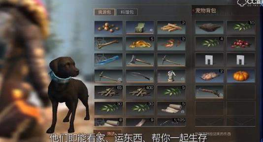 明日之后暖心一条狗养狗攻略