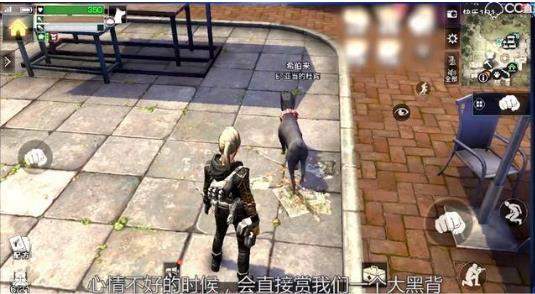明日之后暖心一条狗养狗攻略