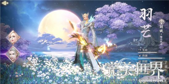 完美世界手游羽芒法师对比解析