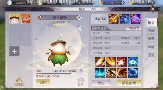 完美世界手游绿龙打什么技能 